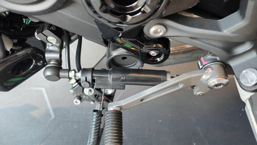 Kawasaki Z 900 A2 (2025 - 26) (7)