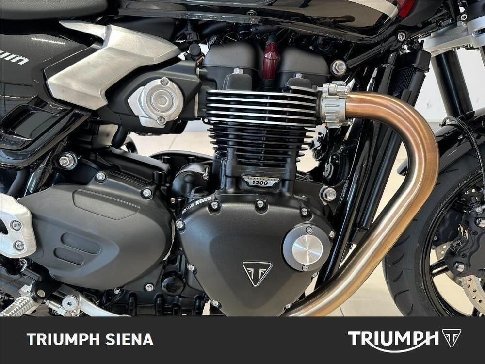Triumph Speed Twin 1200 (2025 - 26) (6)