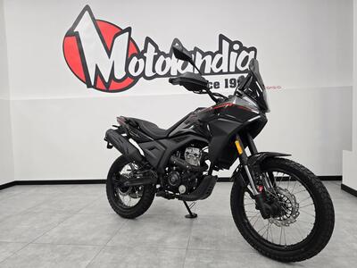 Morbidelli T125X (2025) nuova