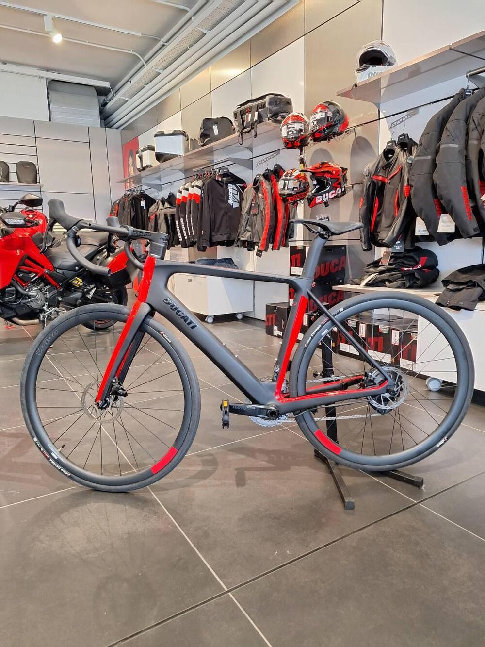 Ducati Futa (2022 - 26)