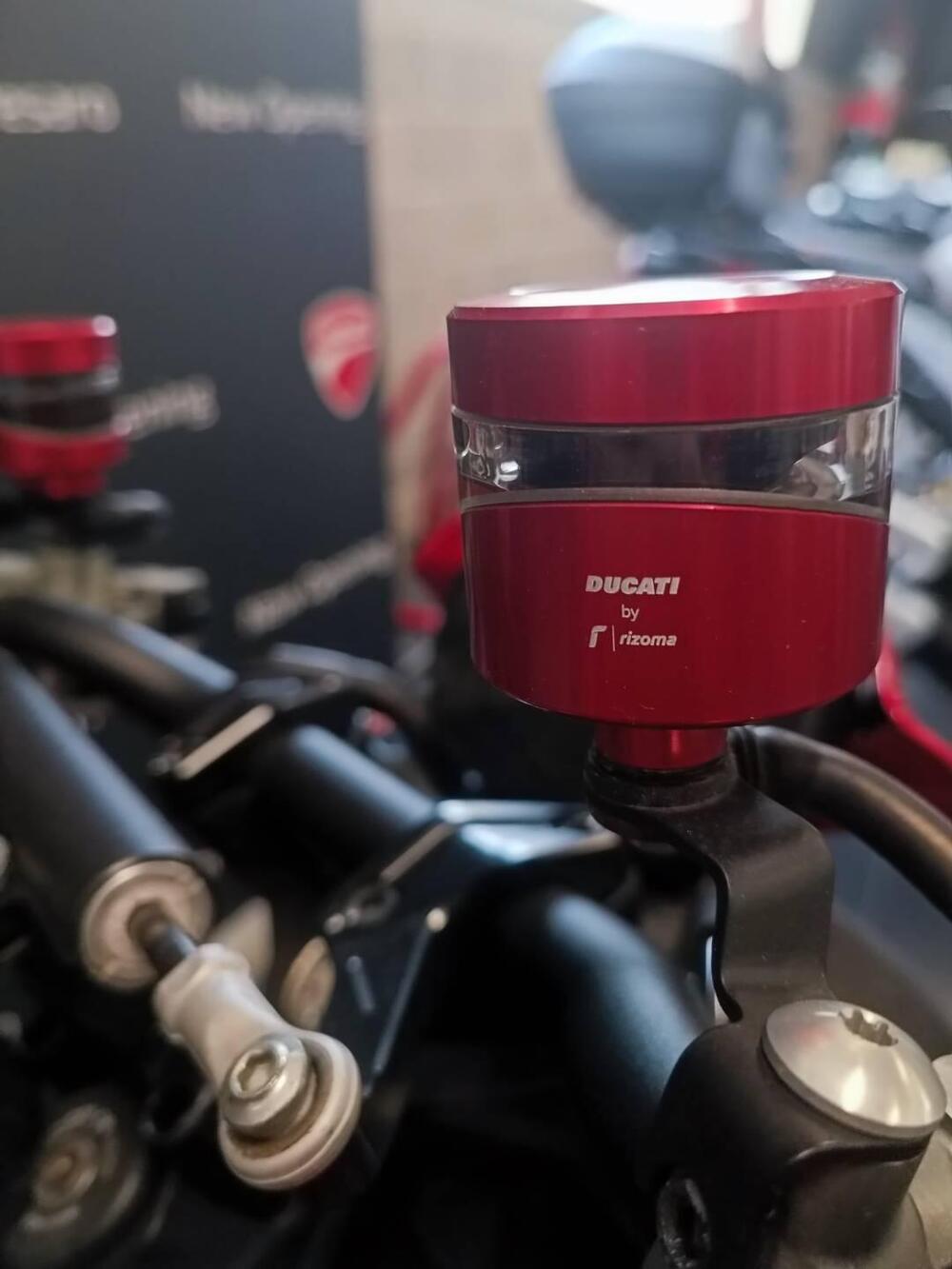 Ducati Monster 937 SP (2023 - 25) (11)