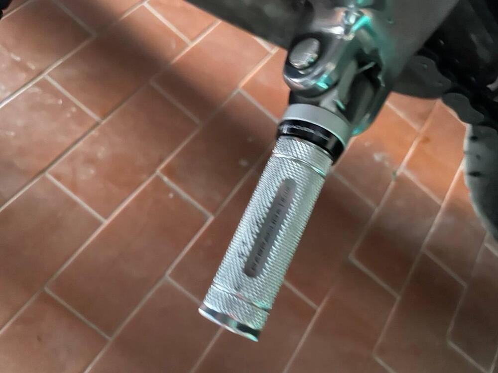 Triumph Trident 660 (2021 - 24) (11)