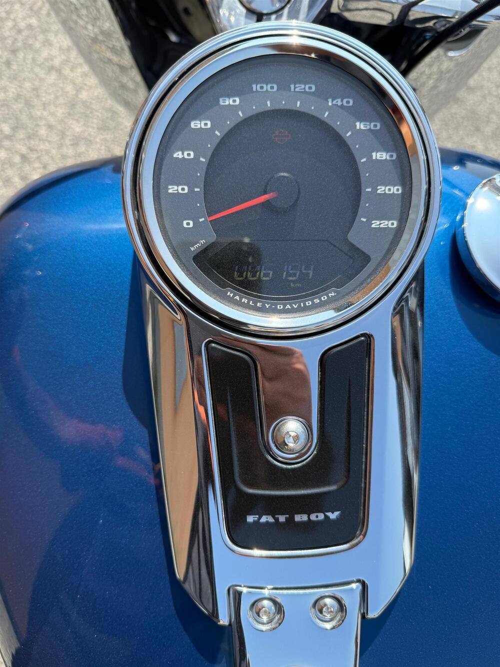 Harley-Davidson Fat Boy 114 (2021 - 24) (8)