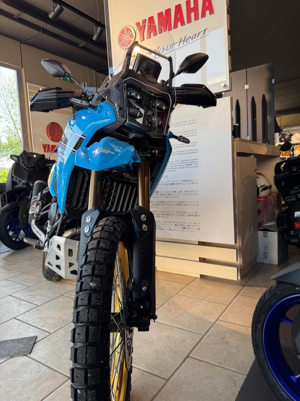 Yamaha Ténéré 700 Rally (2025 - 26) (4)