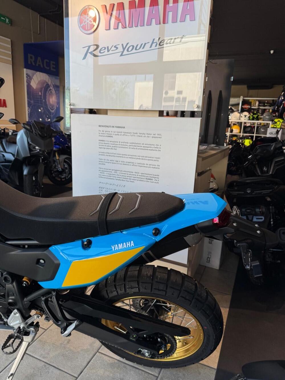 Yamaha Ténéré 700 Rally (2025 - 26) (6)