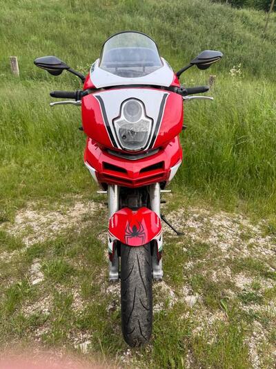 Ducati Multistrada 1000 DS (2003 - 06) usata