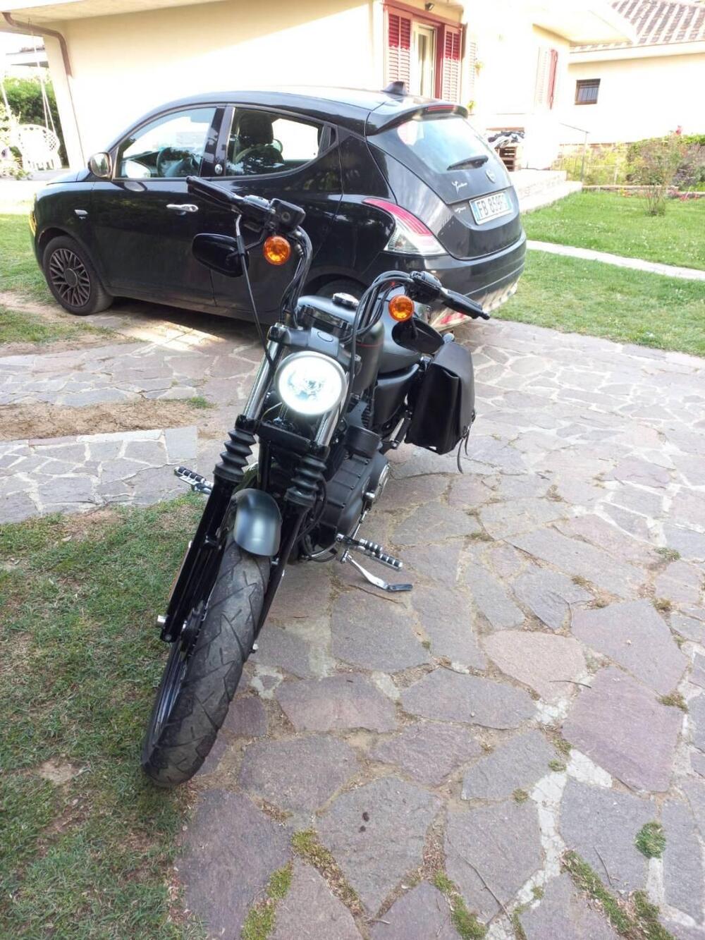 Harley-Davidson 1200 Custom (2007 - 13) - XL 1200C