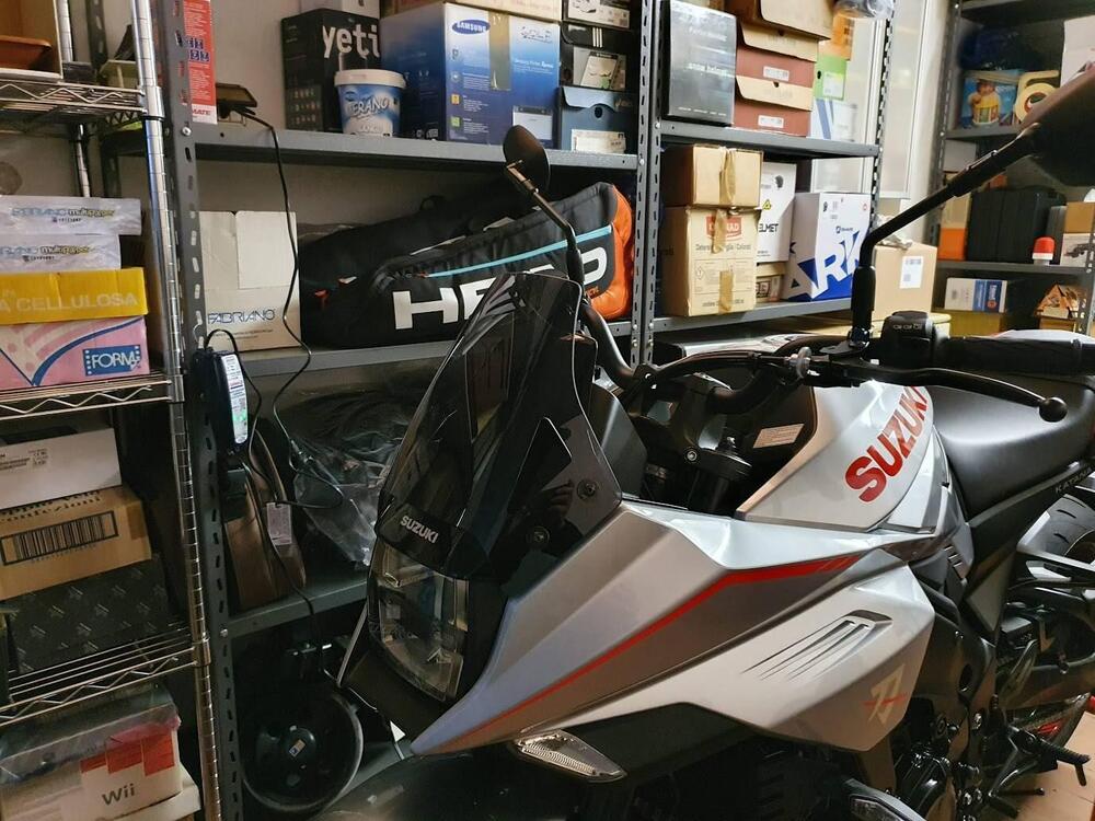 Suzuki Katana 1000 Jindachi (2019 - 20) (3)