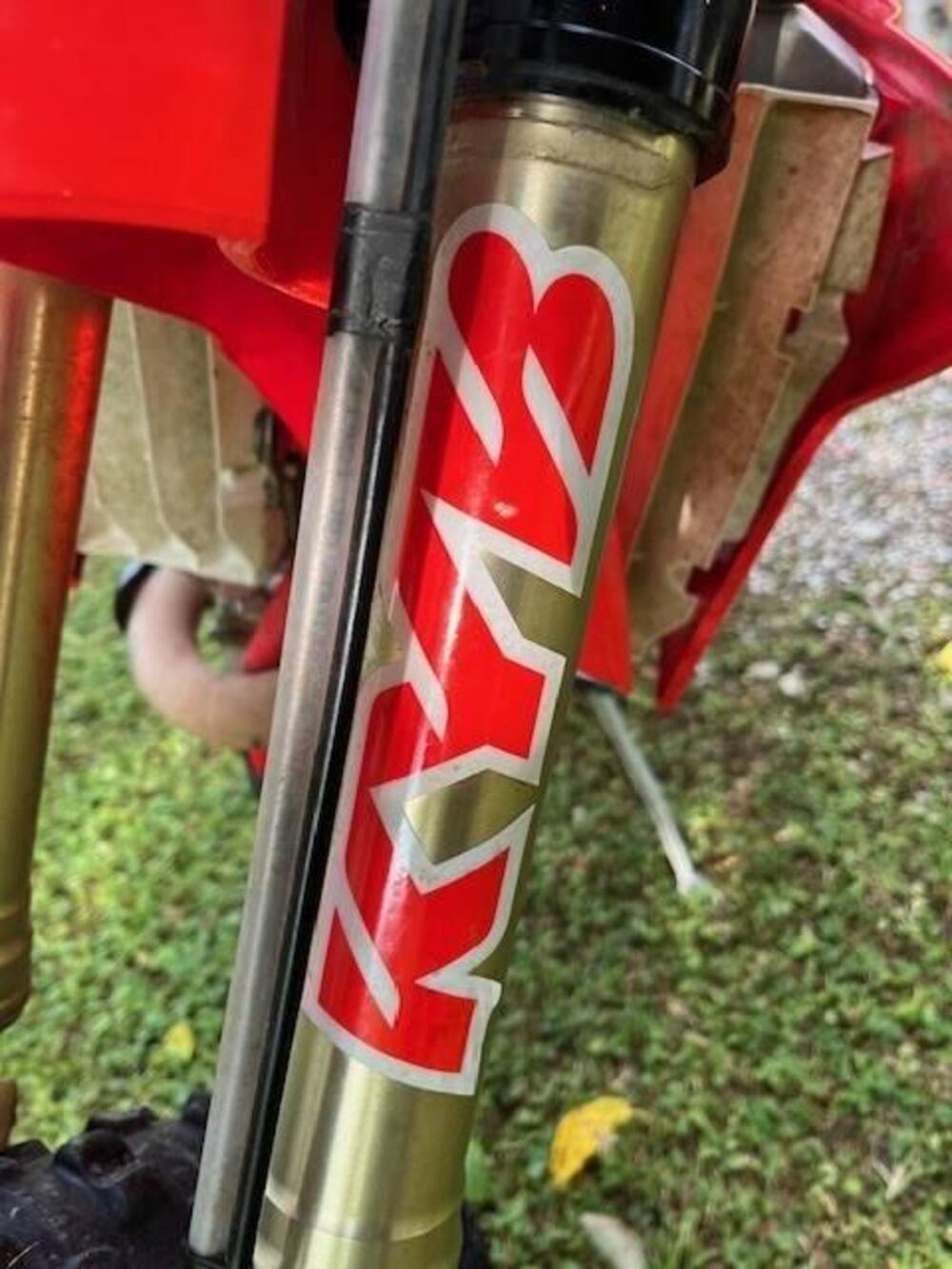 Betamotor RR 430 4T Enduro Racing (2020) (5)