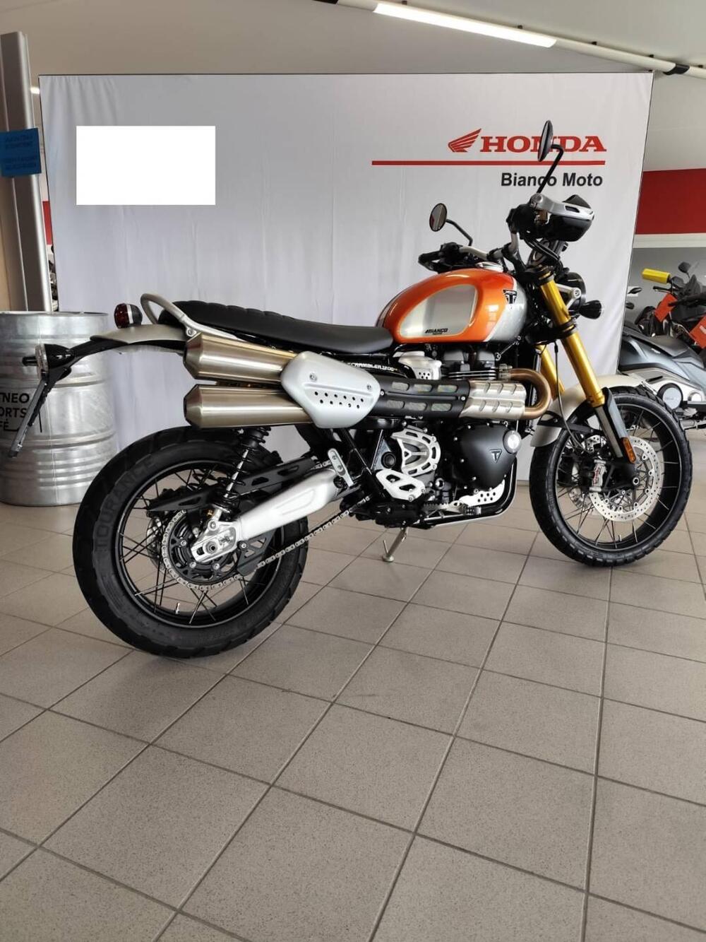 Triumph Scrambler 1200 XE Gold Line Edition (2021 - 22) (2)