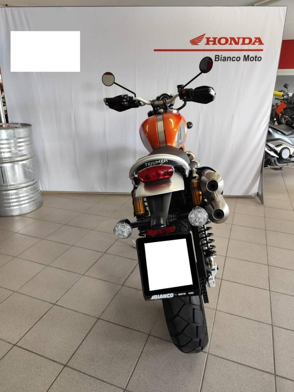 Triumph Scrambler 1200 XE Gold Line Edition (2021 - 22) (4)