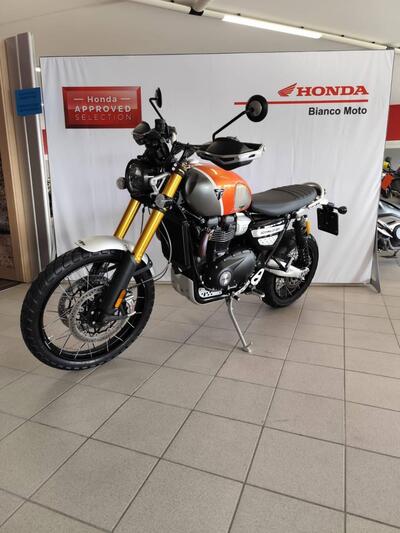 Triumph Scrambler 1200 XE Gold Line Edition (2021 - 22) usata