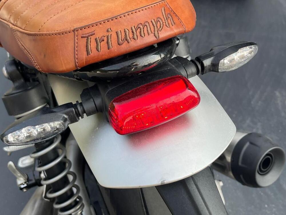 Triumph Speed Twin 1200 (2021 - 24) (10)