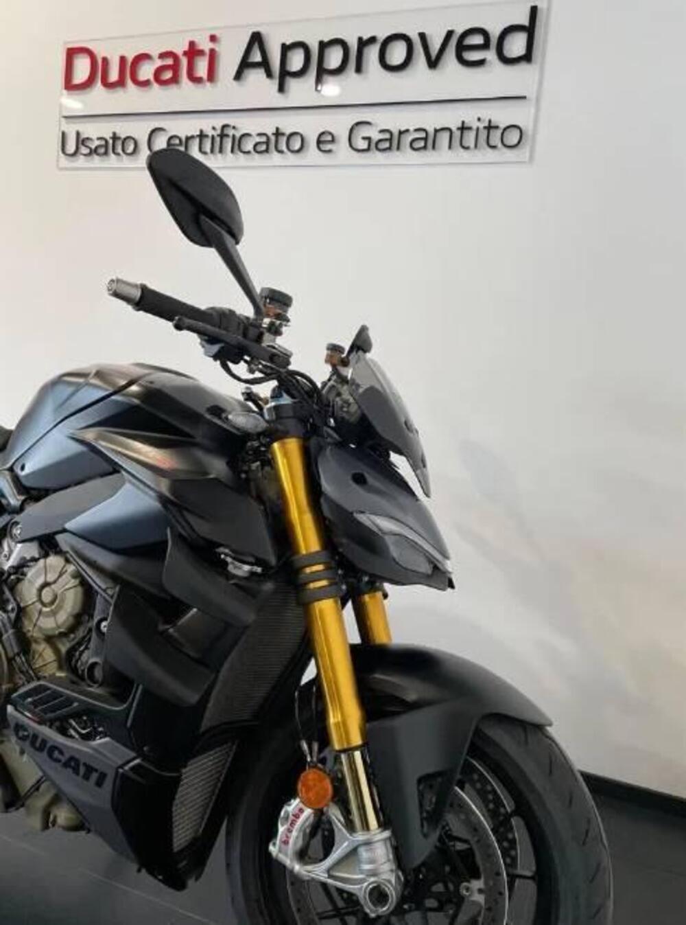 Ducati Streetfighter V4 S (2023 - 24) (3)