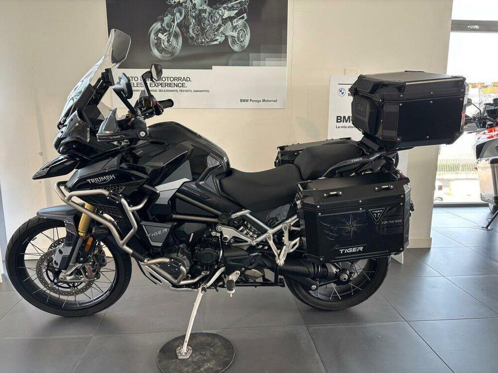 Triumph Tiger 1200 Rally Explorer (2022 - 23) (7)