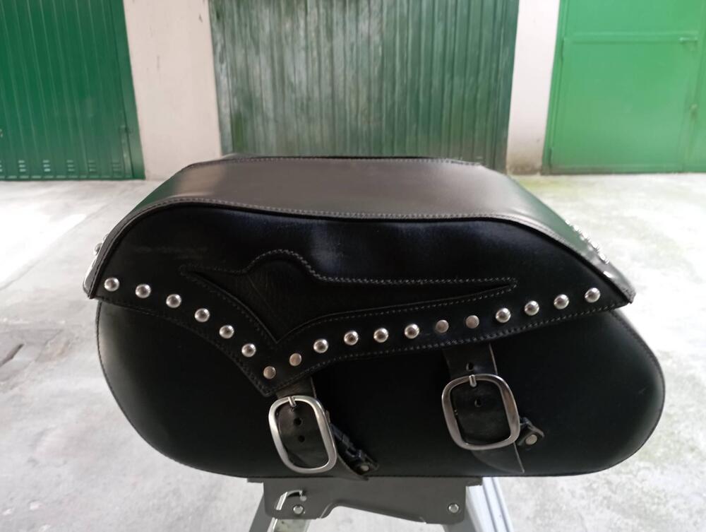 Kawasaki Vulcan VN 900 Classic (2006 - 10) (7)