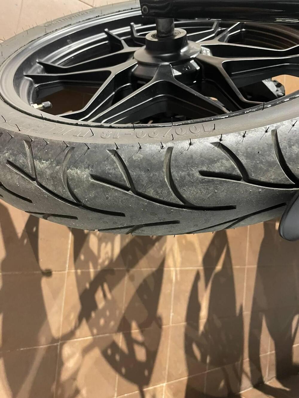 Moto Guzzi V7 III Stone (2017 - 20) (6)