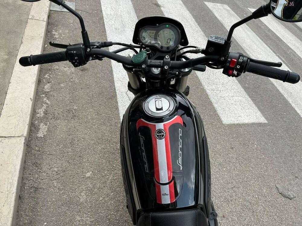 Benelli Leoncino 500 Trail (2021 - 26) (8)