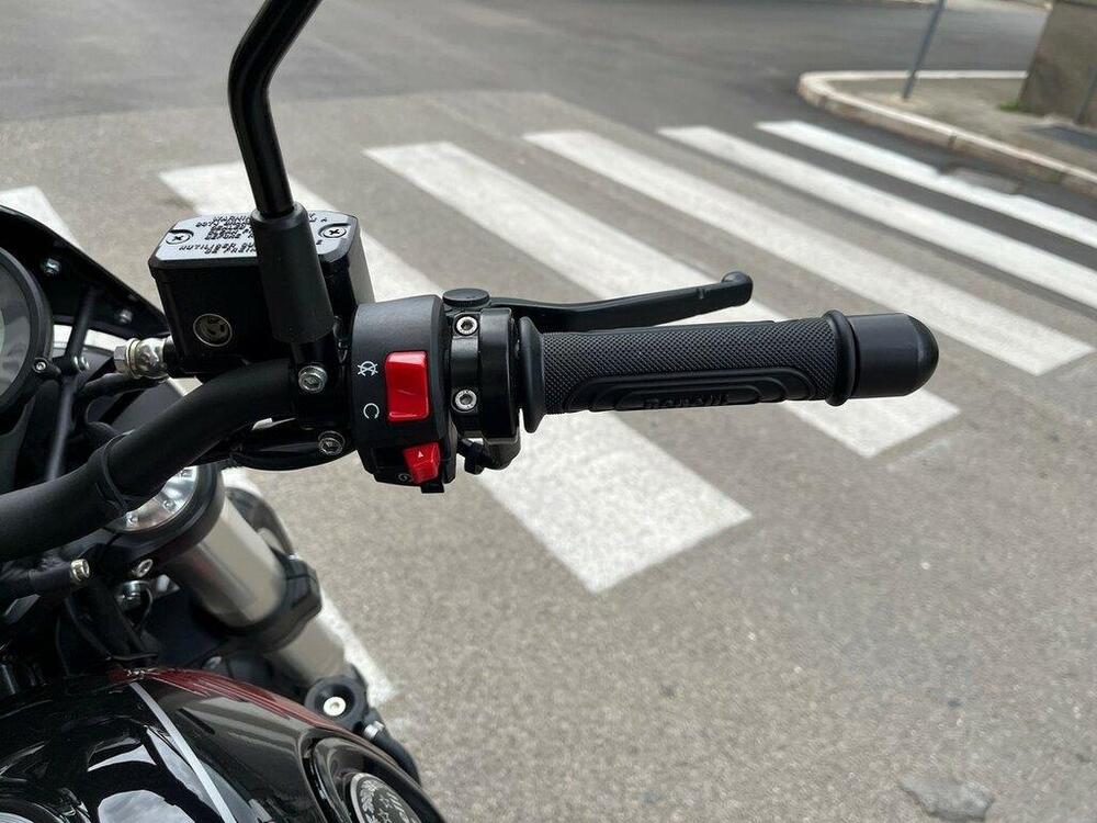 Benelli Leoncino 500 Trail (2021 - 26) (11)