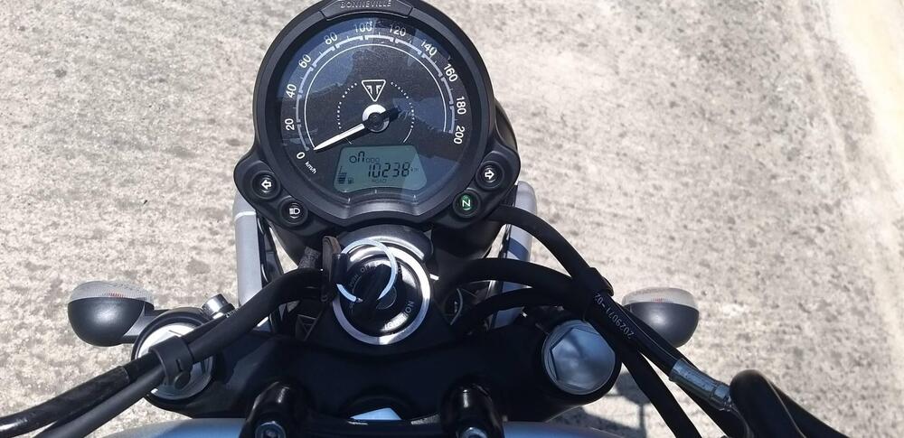 Triumph Street Scrambler 900 (2021 - 22) (7)