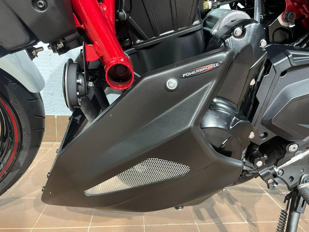 Kawasaki Z 650 Performance (2021 - 24) (5)