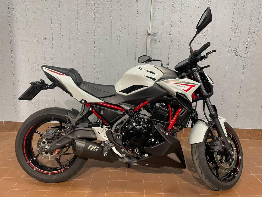 Kawasaki Z 650 Performance (2021 - 24)