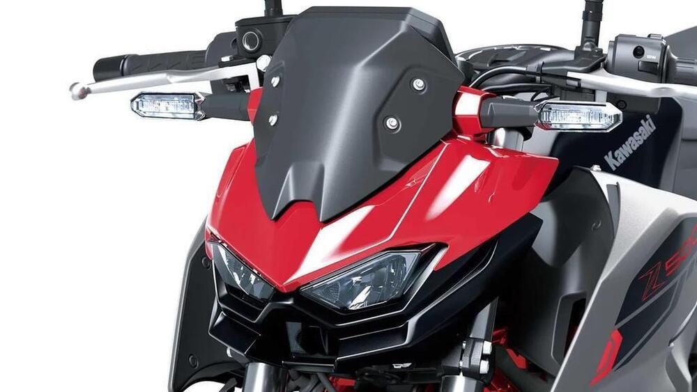 Kawasaki Z 500 SE (2024 - 26) (12)