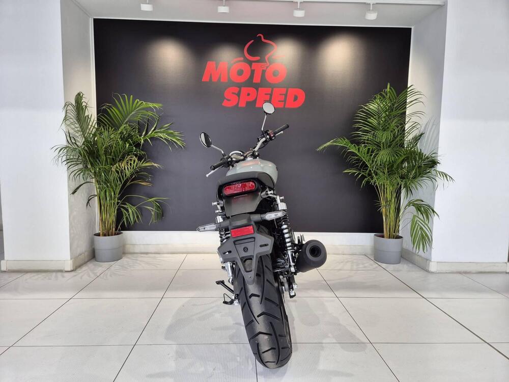 Honda GB 350 S (2025) (6)