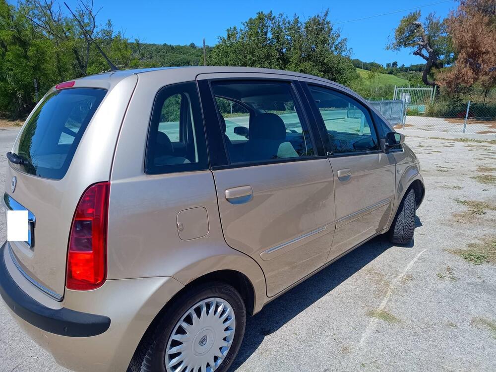 Lancia Musa usata a Pesaro-Urbino (5)