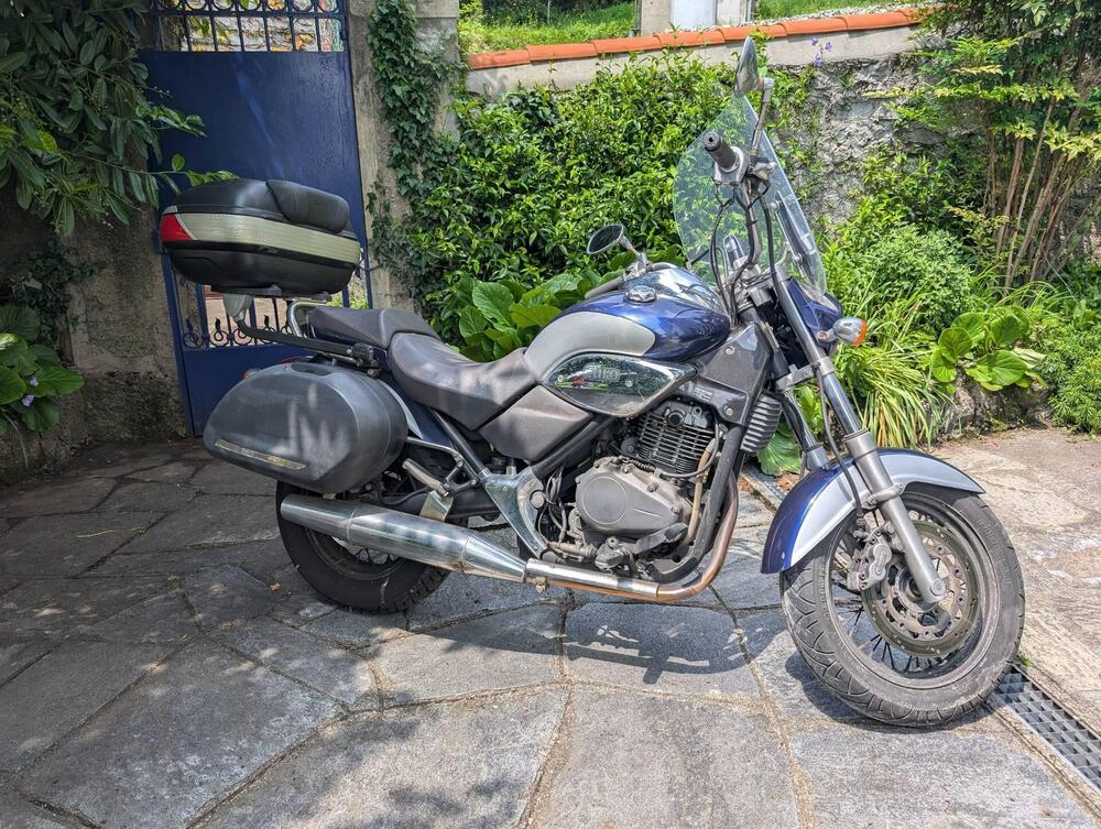 Betamotor Euro 350 Classic (2001 - 05) (11)