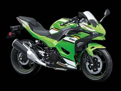 Kawasaki Ninja 500 SE (2024 - 26) nuova