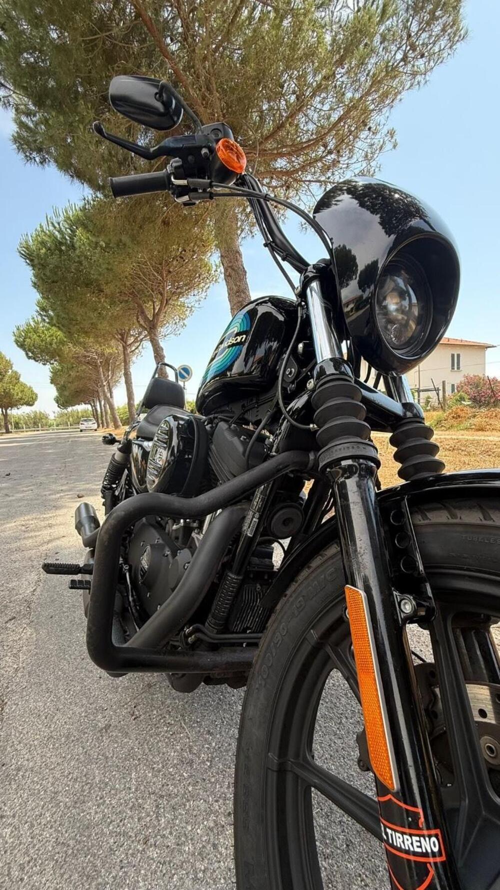 Harley-Davidson 1200 Iron (2018 - 20) - XL1200N (3)