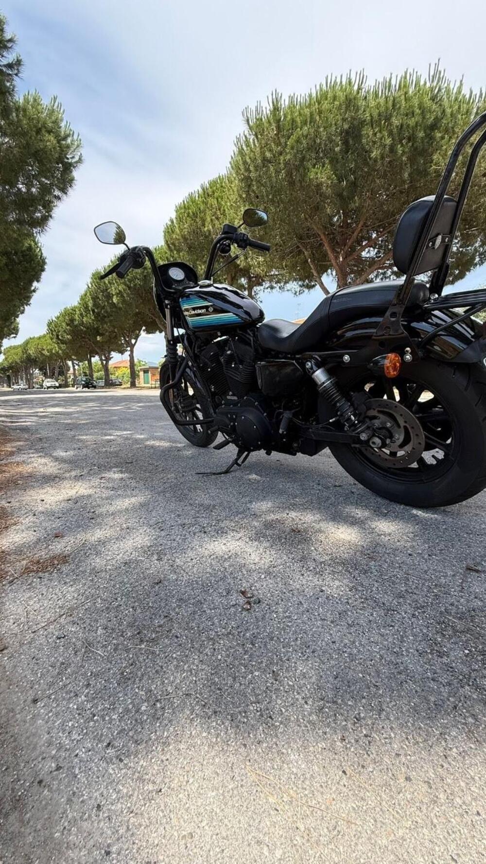 Harley-Davidson 1200 Iron (2018 - 20) - XL1200N (6)