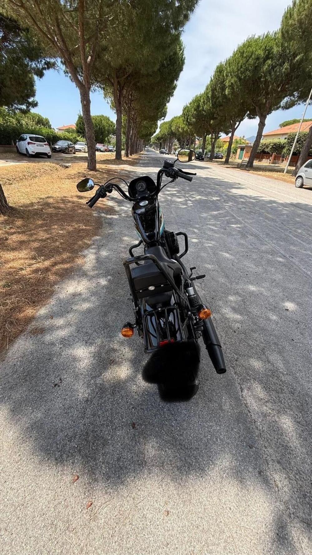 Harley-Davidson 1200 Iron (2018 - 20) - XL1200N (7)