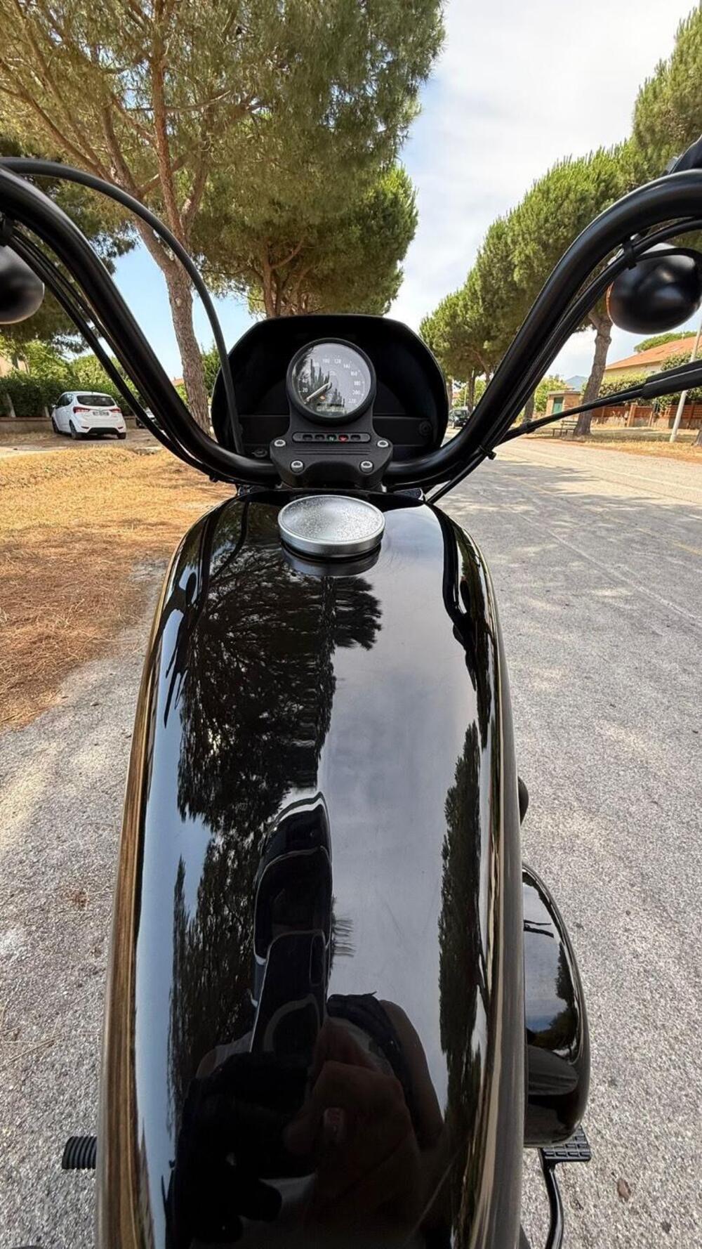 Harley-Davidson 1200 Iron (2018 - 20) - XL1200N (8)