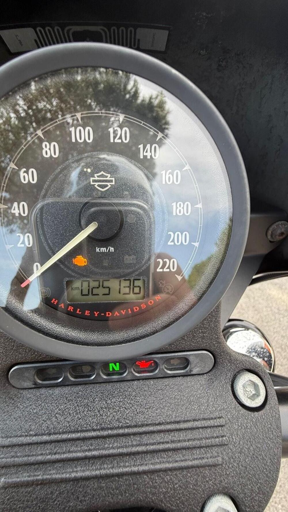 Harley-Davidson 1200 Iron (2018 - 20) - XL1200N (9)