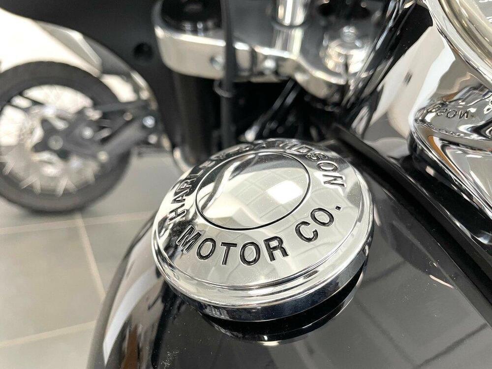 Harley-Davidson 107 Sport Glide (2018 - 20) (10)