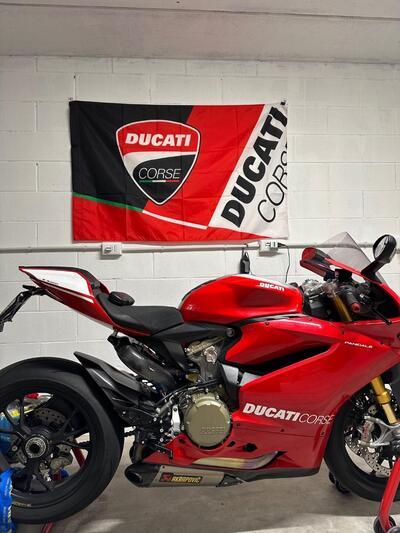 Ducati 1199 Panigale R ABS (2013 - 17) usata