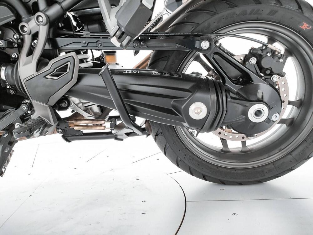 Triumph Tiger 1200 Alpine Edition (2020) (7)