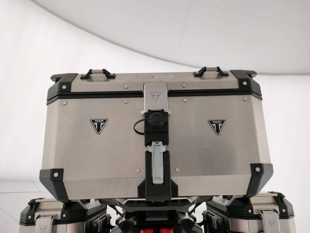 Triumph Tiger 1200 Alpine Edition (2020) (9)