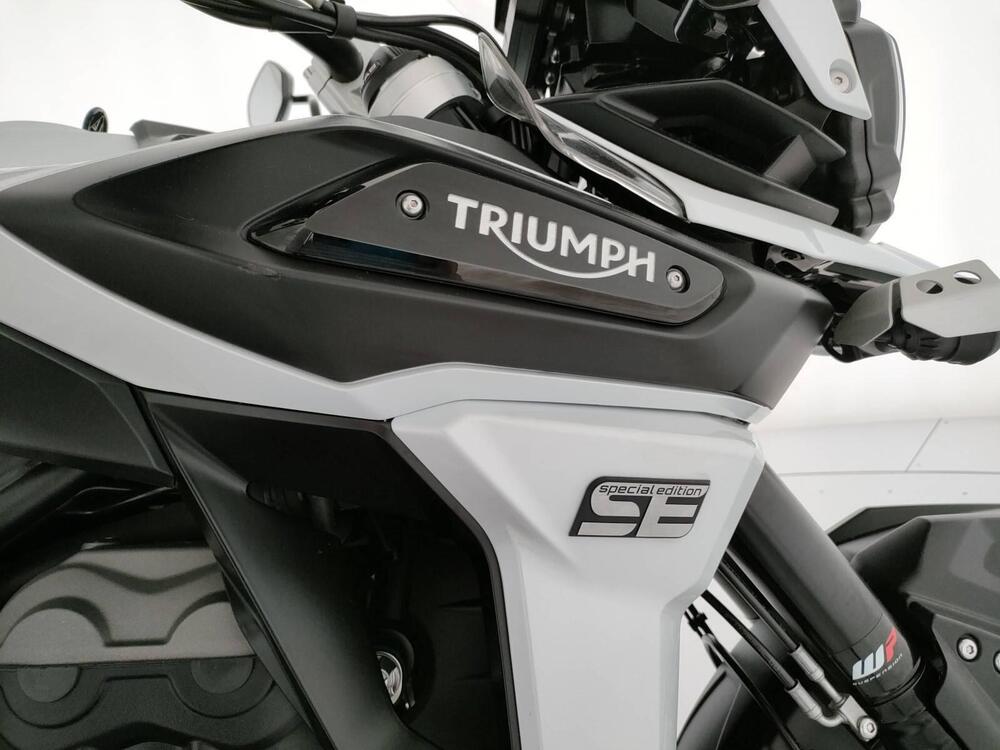 Triumph Tiger 1200 Alpine Edition (2020) (17)