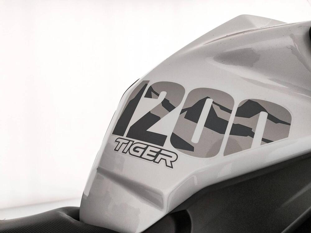 Triumph Tiger 1200 Alpine Edition (2020) (14)