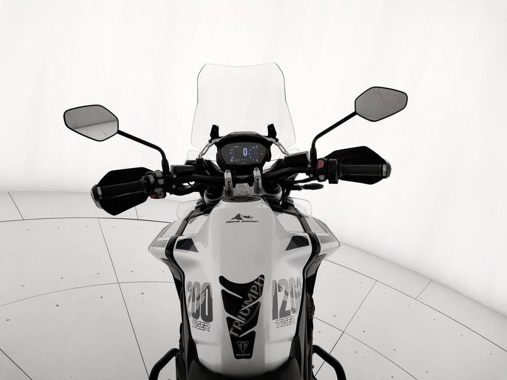 Triumph Tiger 1200 Alpine Edition (2020) (16)