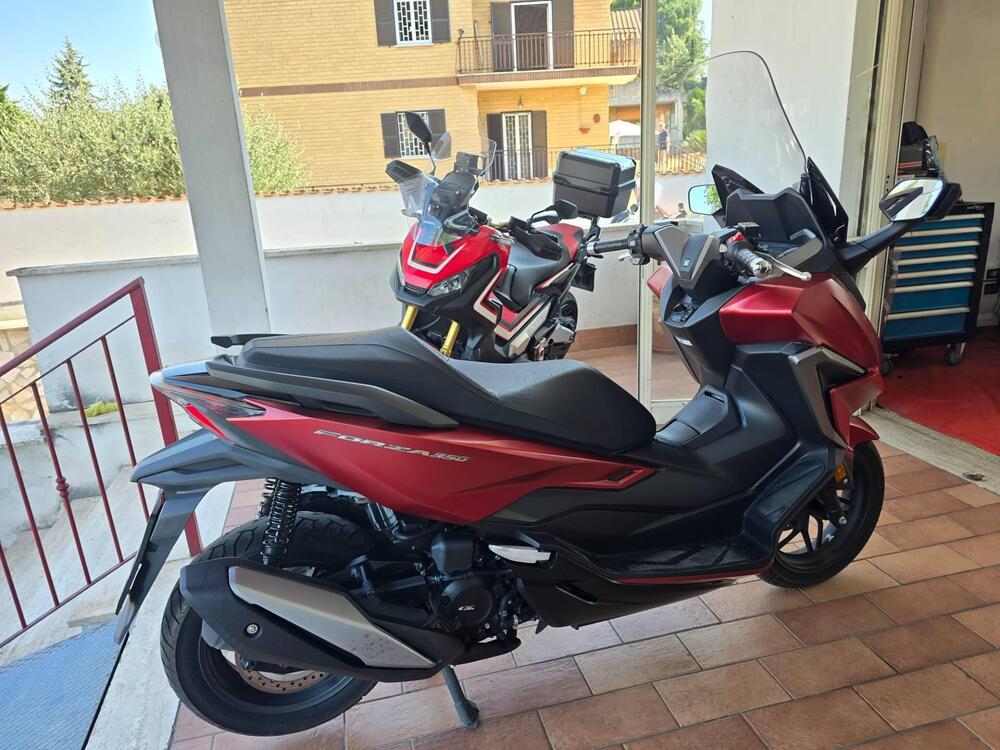Honda Forza 350 (2022 - 24) (6)