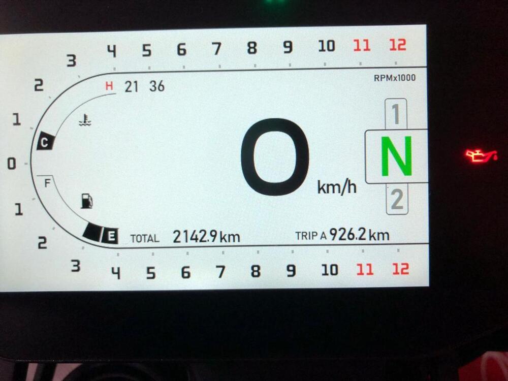 Benelli Leoncino 800 (2022 - 25) (8)