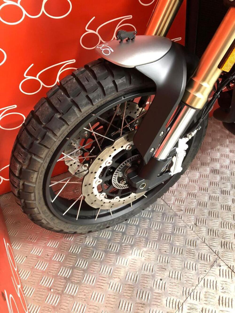 Benelli Leoncino 800 (2022 - 25) (6)