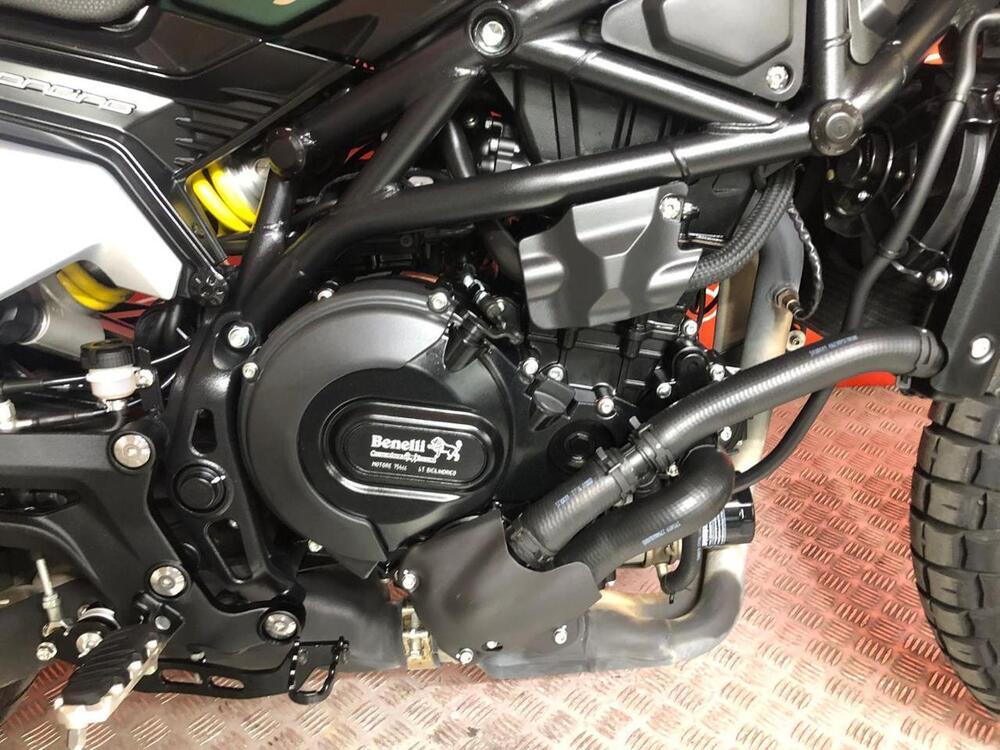 Benelli Leoncino 800 Trail (2022 - 25) (5)