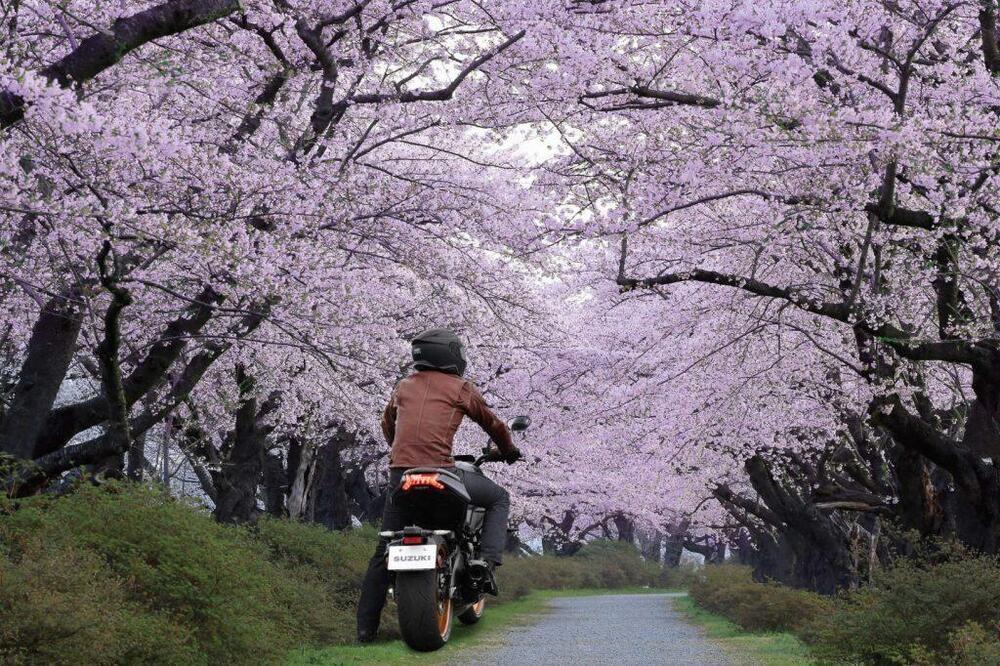 Suzuki Katana 1000 (2022 - 25) (12)