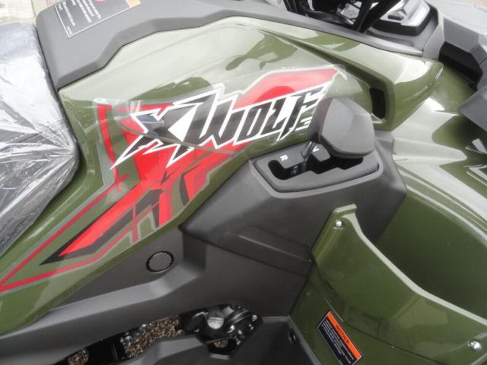  Altre moto o tipologie Quad (10)