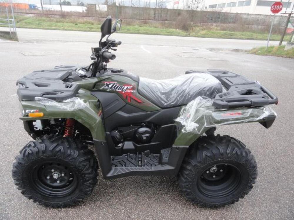  Altre moto o tipologie Quad (5)